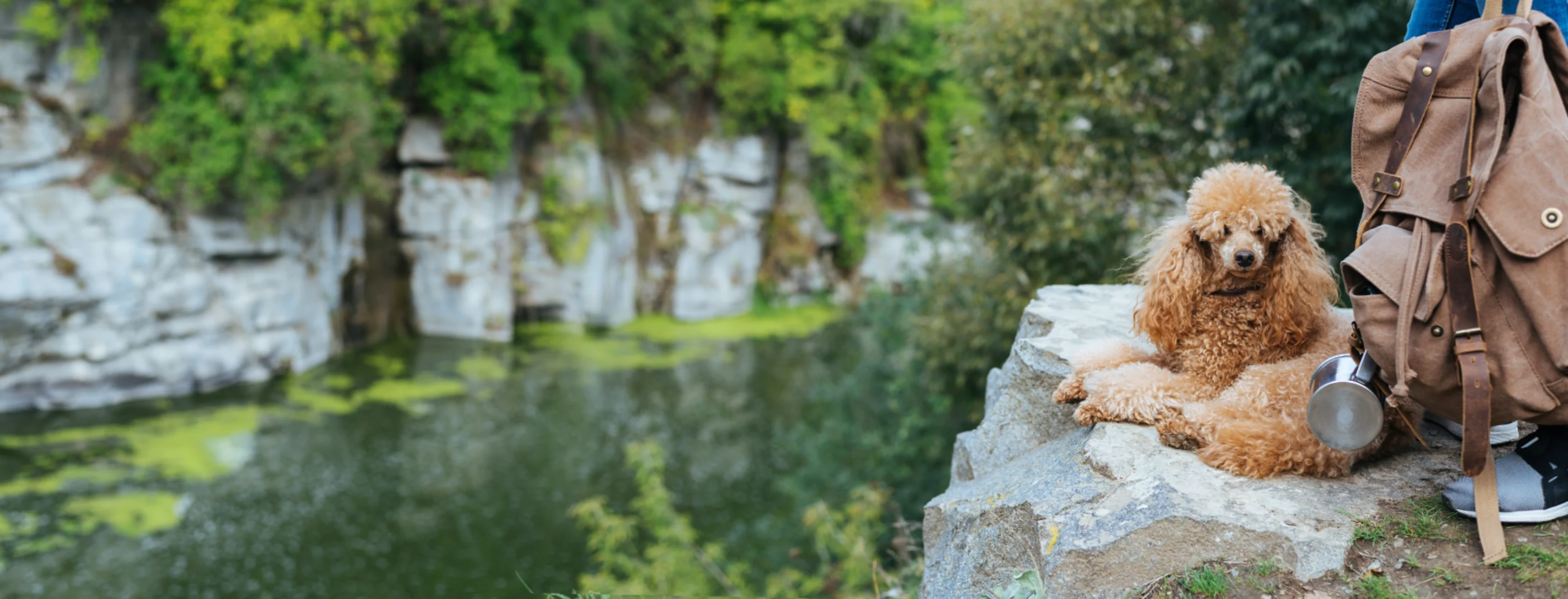 A dog sits on the edge of a cliff with a woman and her backpack