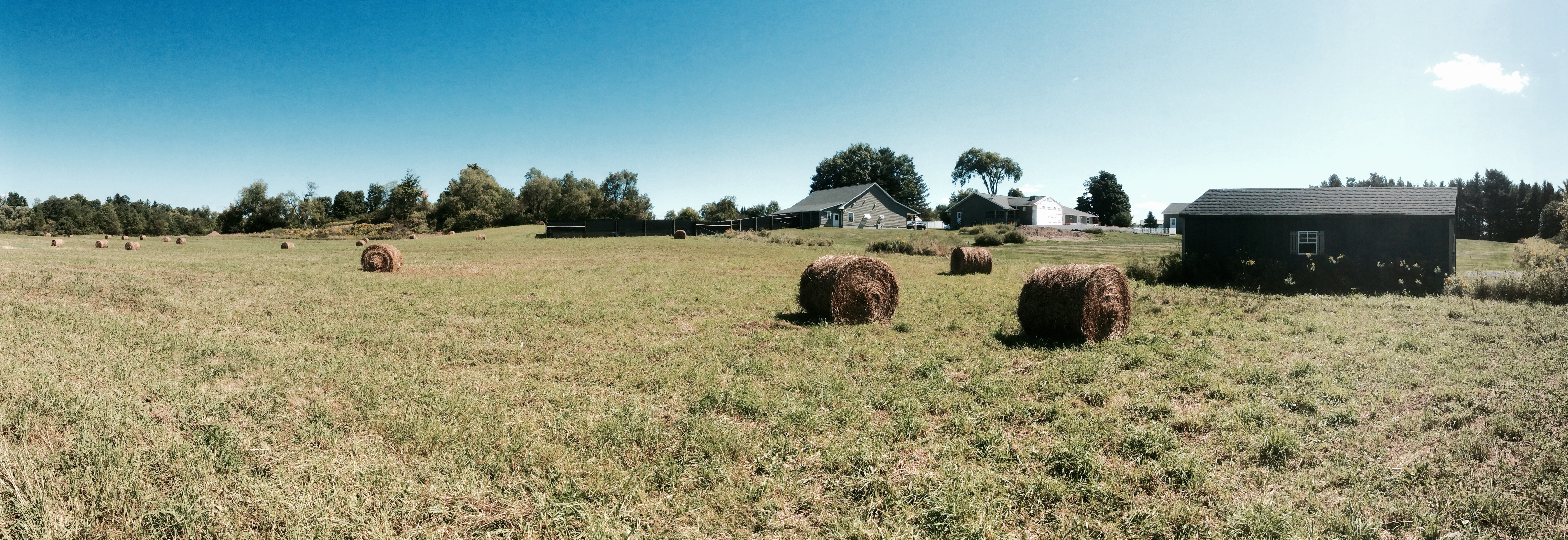 Outside shot of the Waterville Veterinary Clinic