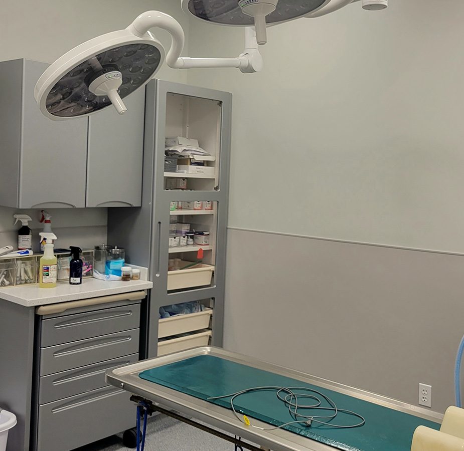 South Shore Animal Hospital Operating Table