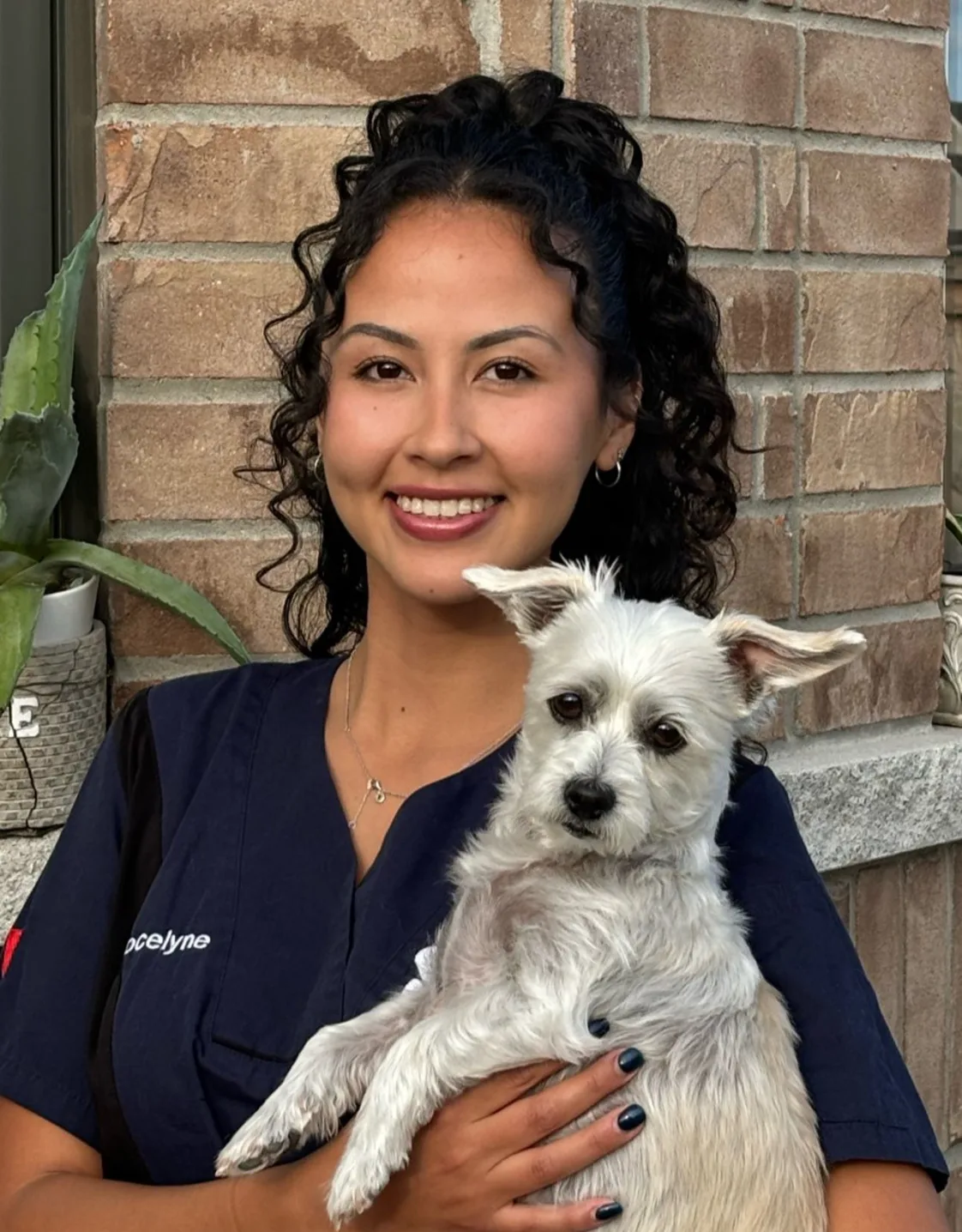 Photo of RVT Jocelyne. Photo of RVT Jocelyne.