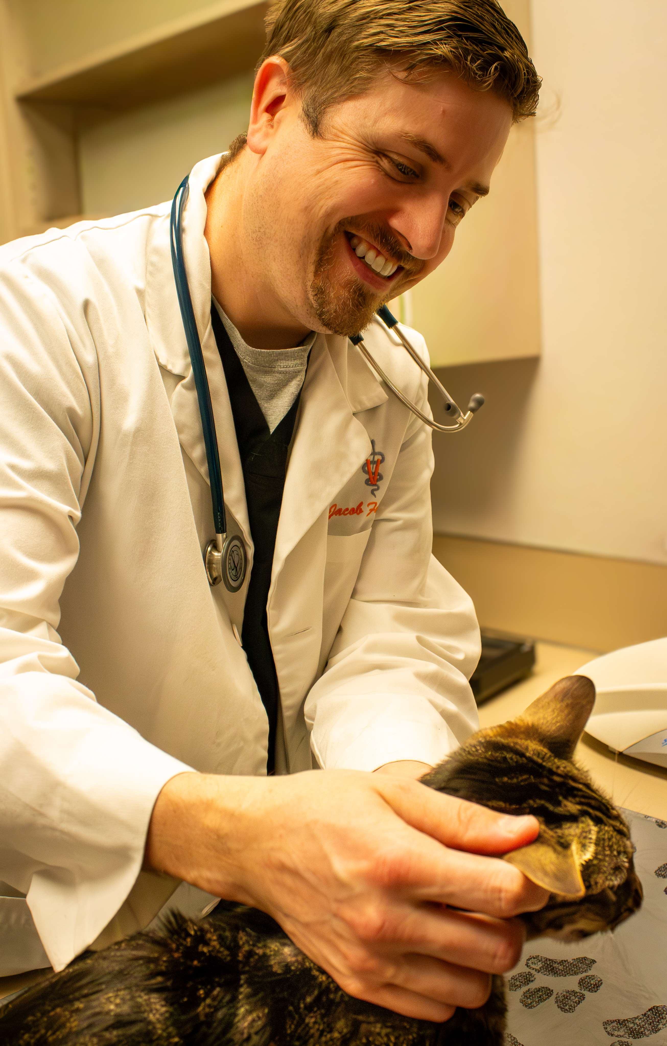 Dr. Fulcher examining a cat patient