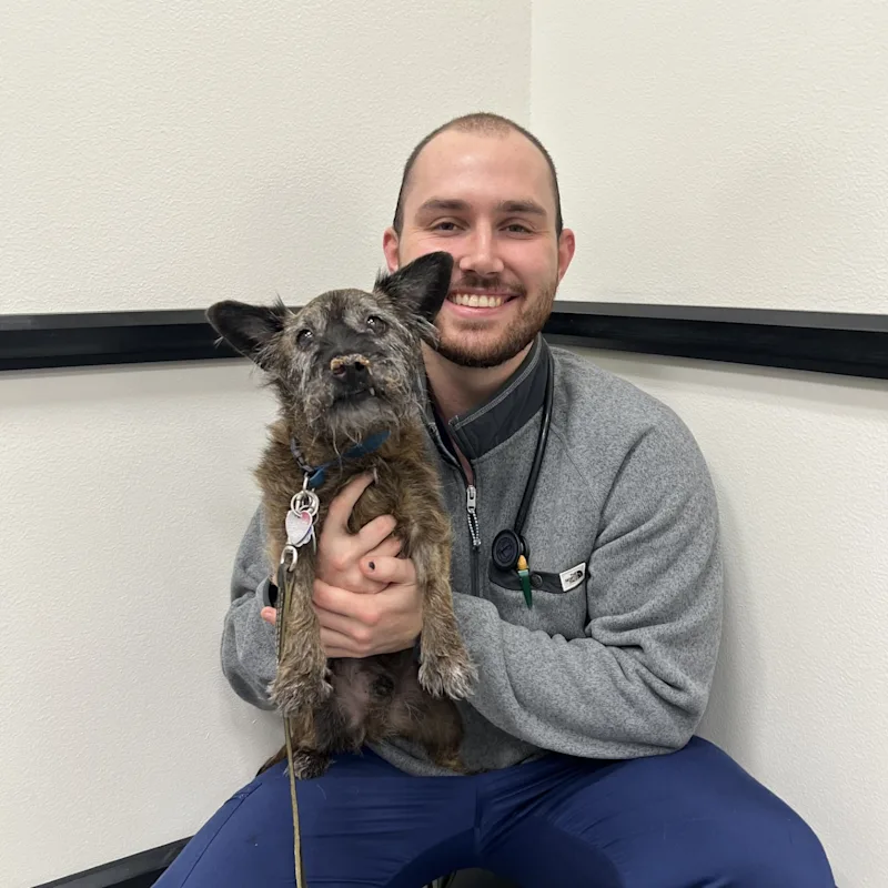 New Staff Member New Staff Member