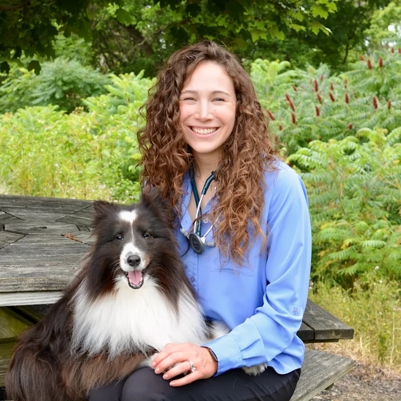 Amanda Emig at Companion Animal Hospital Amanda Emig at Companion Animal Hospital