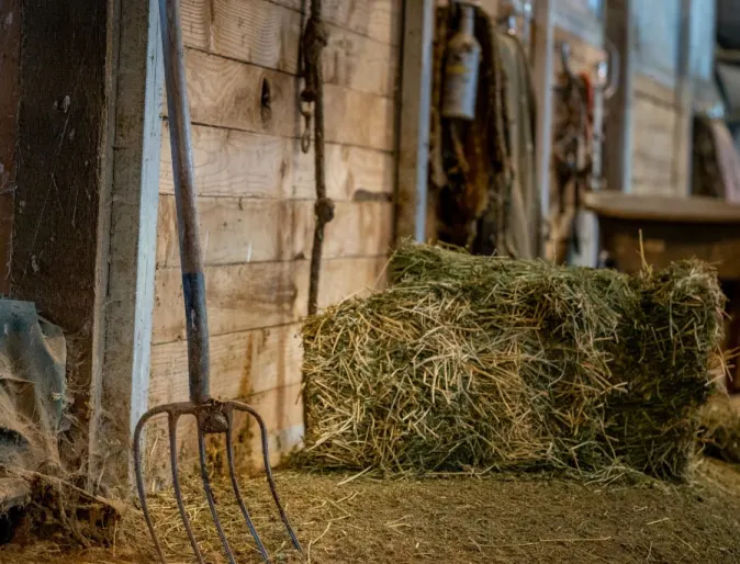 Horse Barn Hay Food