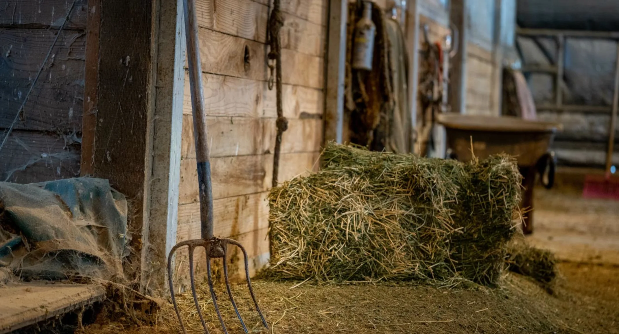 Horse Barn Hay Food Horse Barn Hay Food