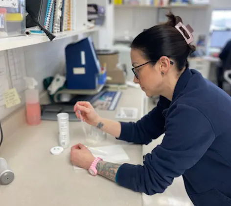 Veterinarian Examining Test Tube Veterinarian Examining Test Tube
