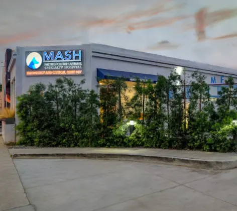The exterior of MASH Main