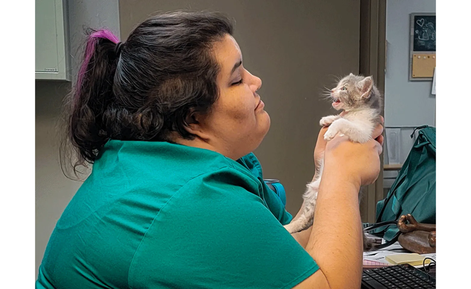 Staff Member Holding a Small Kitten in her Hands Staff Member Holding a Small Kitten in her Hands