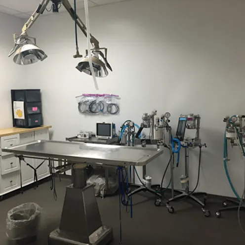Surgery Surgery