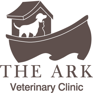 Animal Hospital in Eugene, OR | The Ark Veterinary Clinic