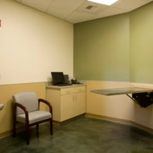 The Center for Bird and Exotic Medicine Exam Room