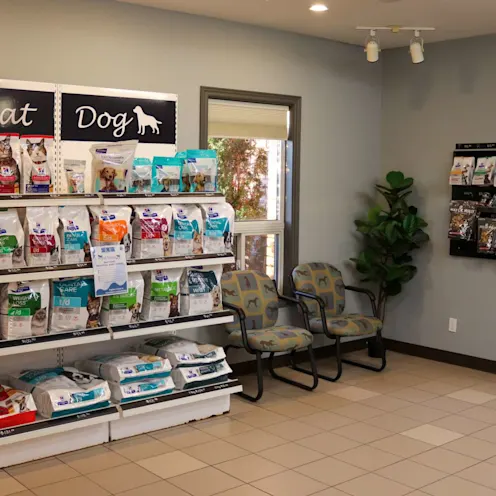 Food Display Food Display