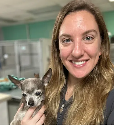 Amber Wall - Licensed Veterinary Technician Amber Wall - Licensed Veterinary Technician