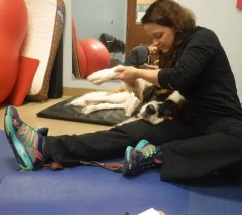 Dog and doctor during VSMT Dog and doctor during VSMT