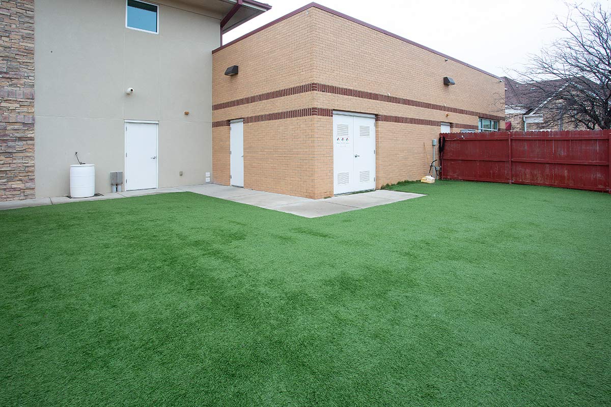 Alliance Animal Health Center Yard