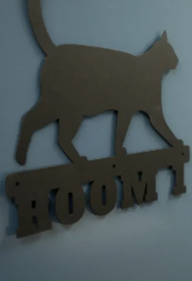 Close Up of "Room 1" Cat Sign Close Up of "Room 1" Cat Sign