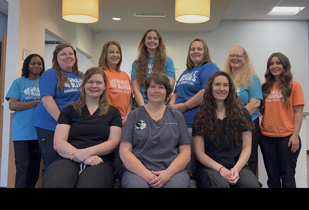 staff photo