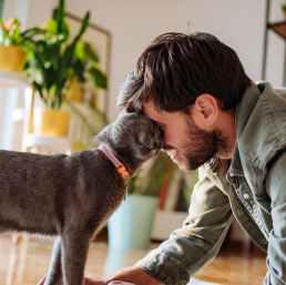 A cat snuggling up against a man's face