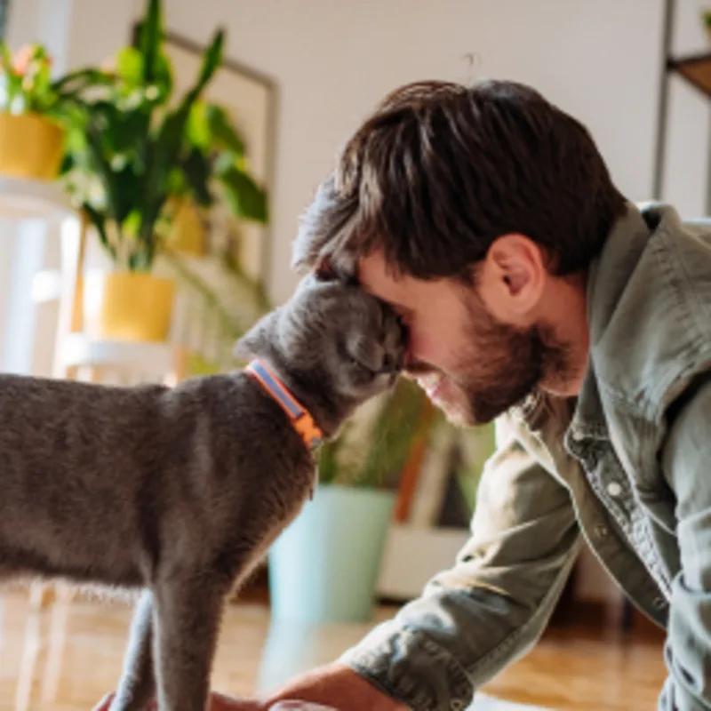 A cat snuggling up against a man's face A cat snuggling up against a man's face