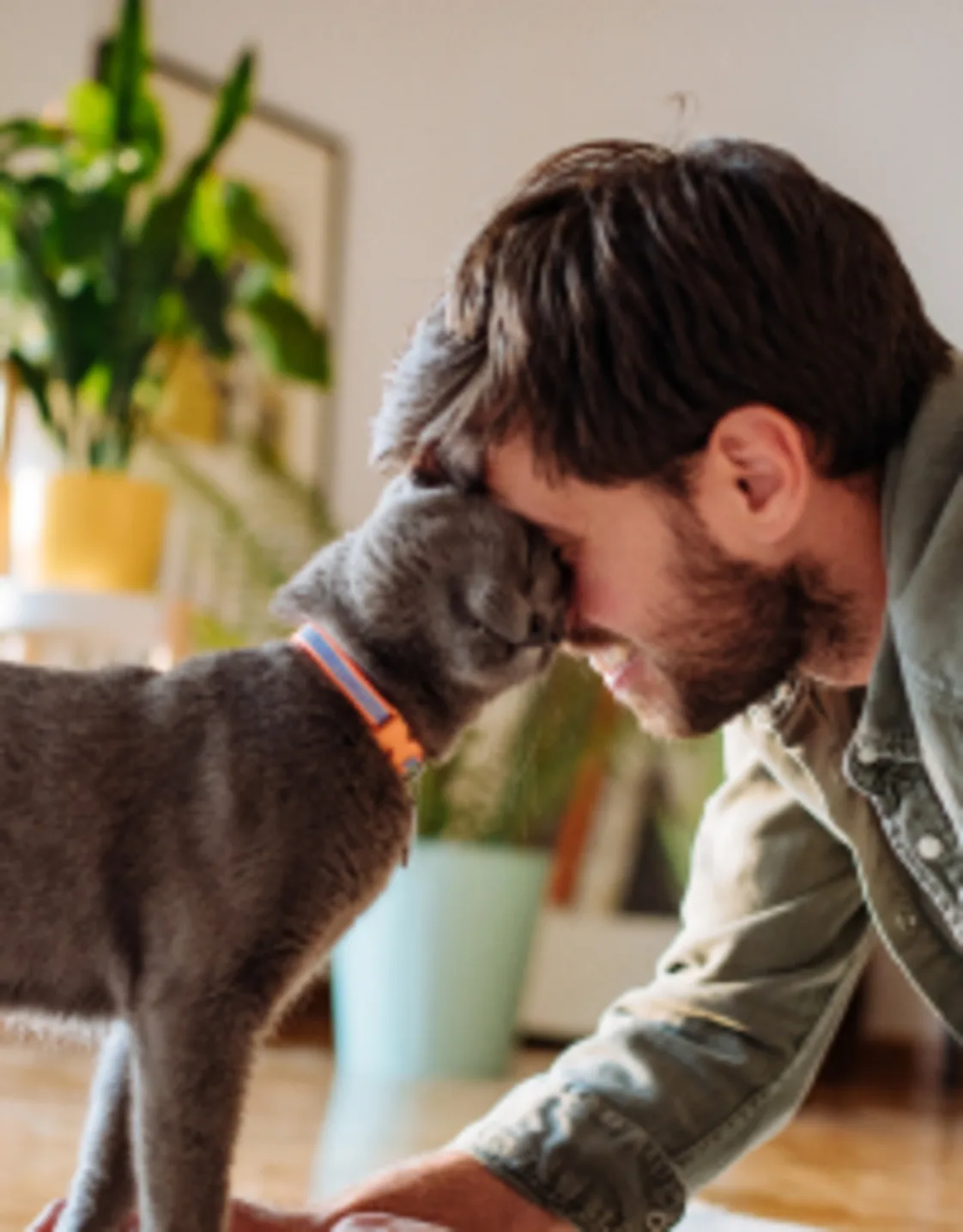 A cat snuggling up against a man's face A cat snuggling up against a man's face