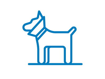 Dog services for CIVH / LPMC