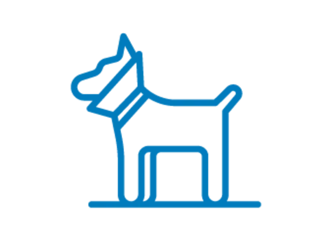 Dog services for CIVH / LPMC Dog services for CIVH / LPMC