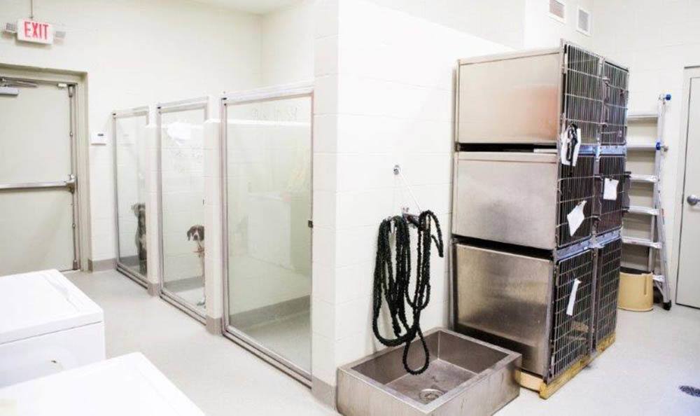 Southside Pet Hospital Kennels and Grooming