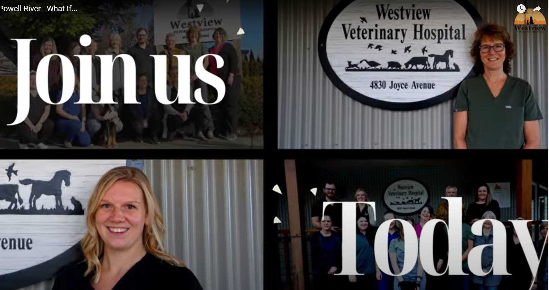 Join Us at Westview Veterinary Hospital 