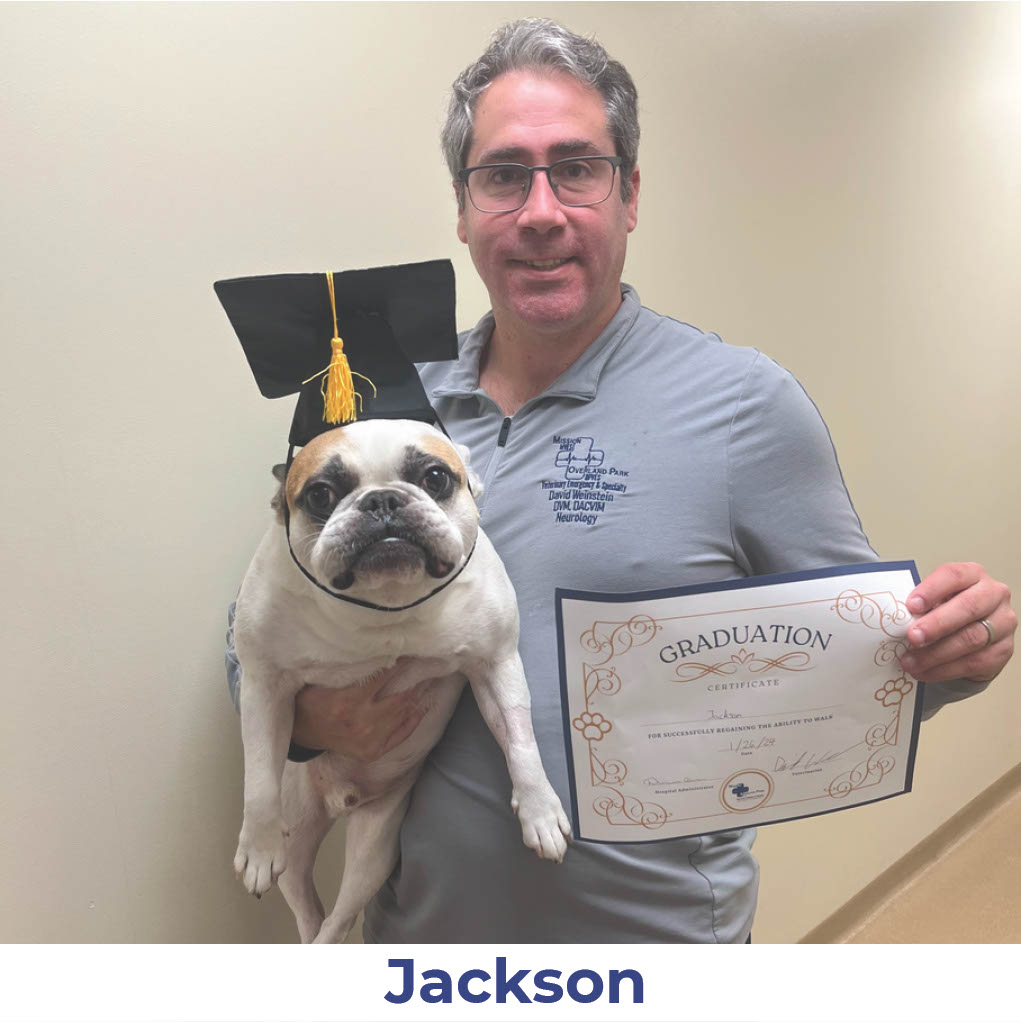 Jackson the dog with Neurology Graduate Hall of Fame certificate