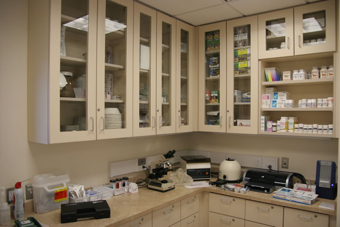 Montville Veterinary Group Lab
