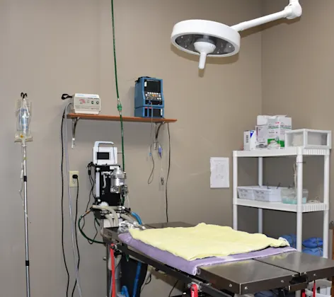 Ultrasound Room Ultrasound Room