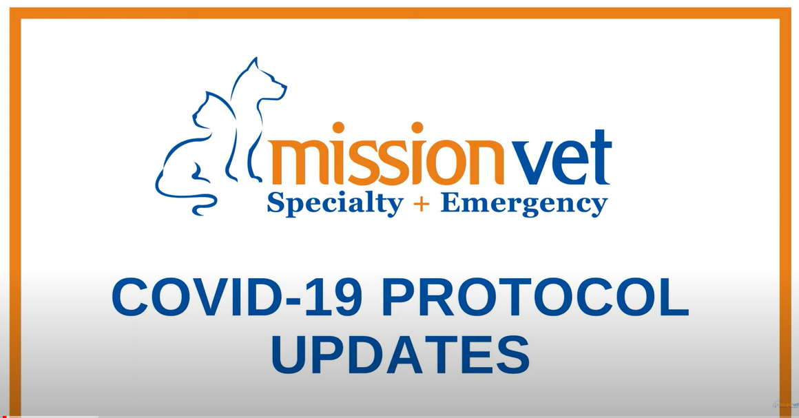 Covid-19 Updates Video