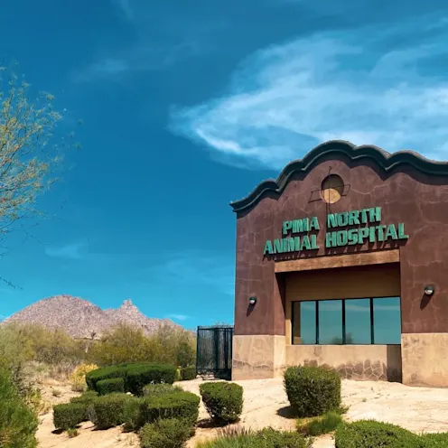 Exterior image of Pima North Animal Hospital Exterior image of Pima North Animal Hospital