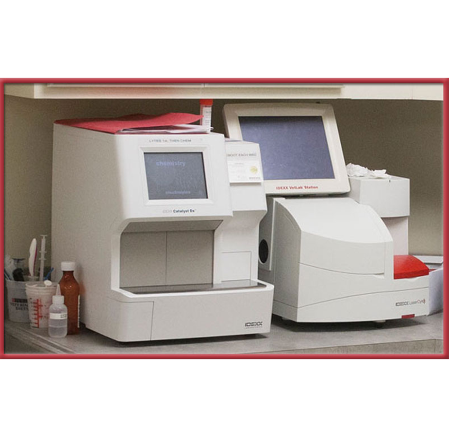 Medical Equipment at Stoney Brook Veterinary Hospital