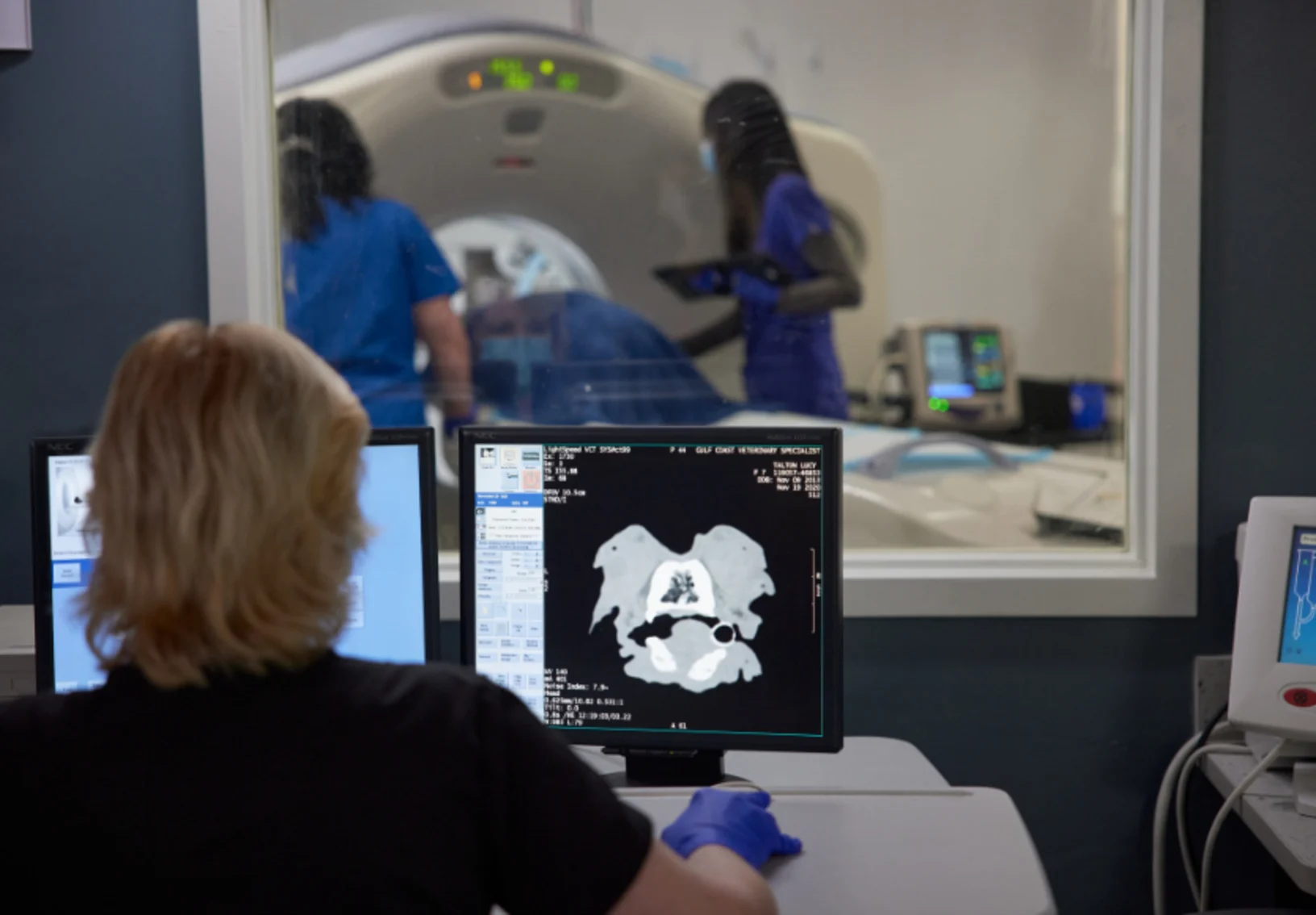 Doctor examining x-ray on monitor Doctor examining x-ray on monitor