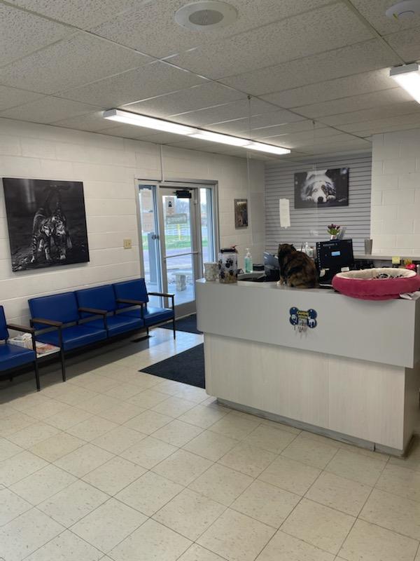 Family Pet Hospital at Morningside 0131s - Front Desk