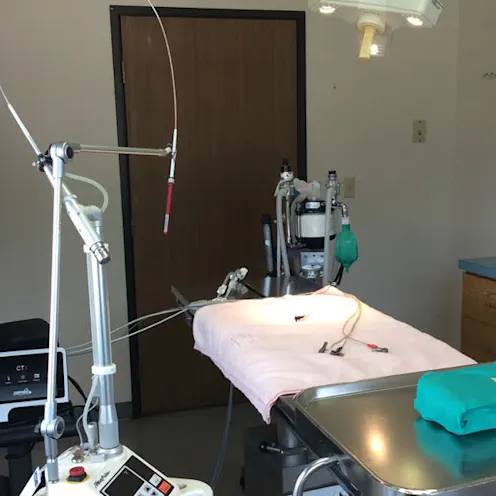 All City Pet Care East Surgery Room All City Pet Care East Surgery Room