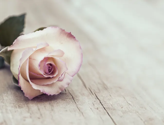 Flower place down on a piece of wood 