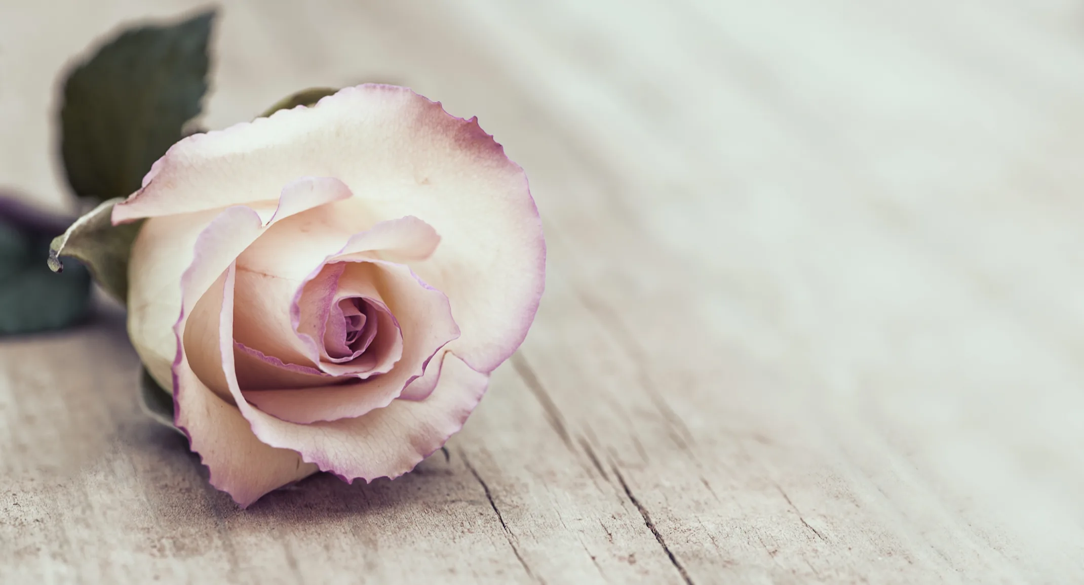 Flower place down on a piece of wood Flower place down on a piece of wood