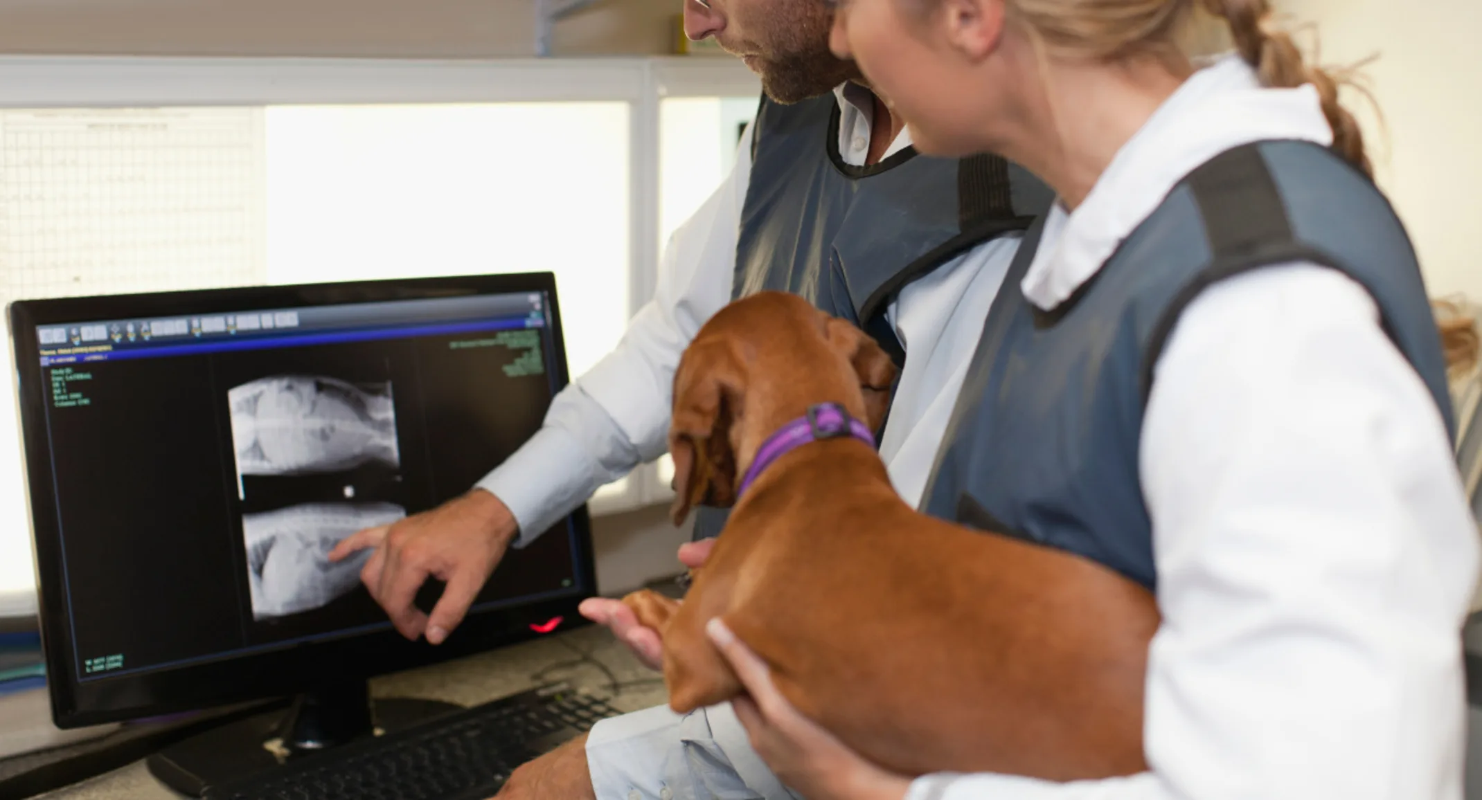 Two staff members looking at imaging and one staff member holding a brown Dachshund dog Two staff members looking at imaging and one staff member holding a brown Dachshund dog