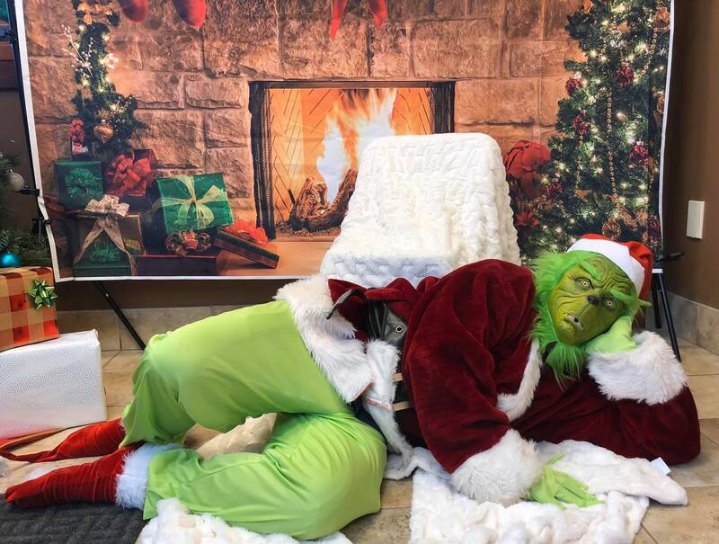 Waiting Grinch at Hanover Park Animal Care Center