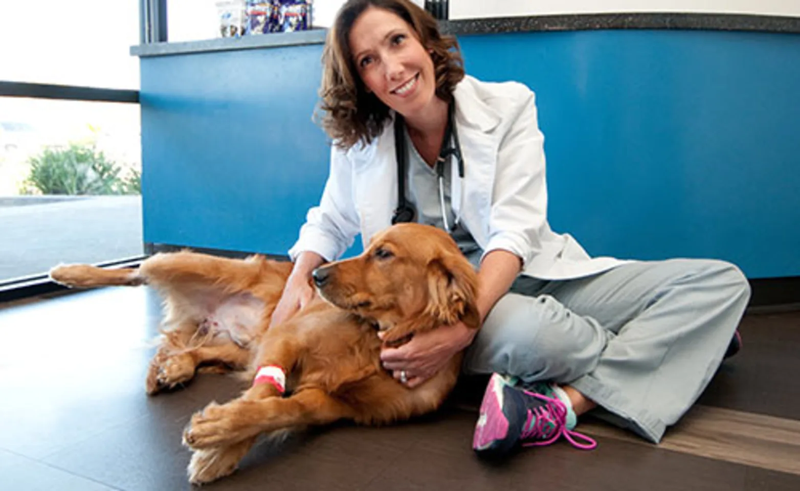 Dog and doctor at Belmont Shore Veterinary Hospital Dog and doctor at Belmont Shore Veterinary Hospital