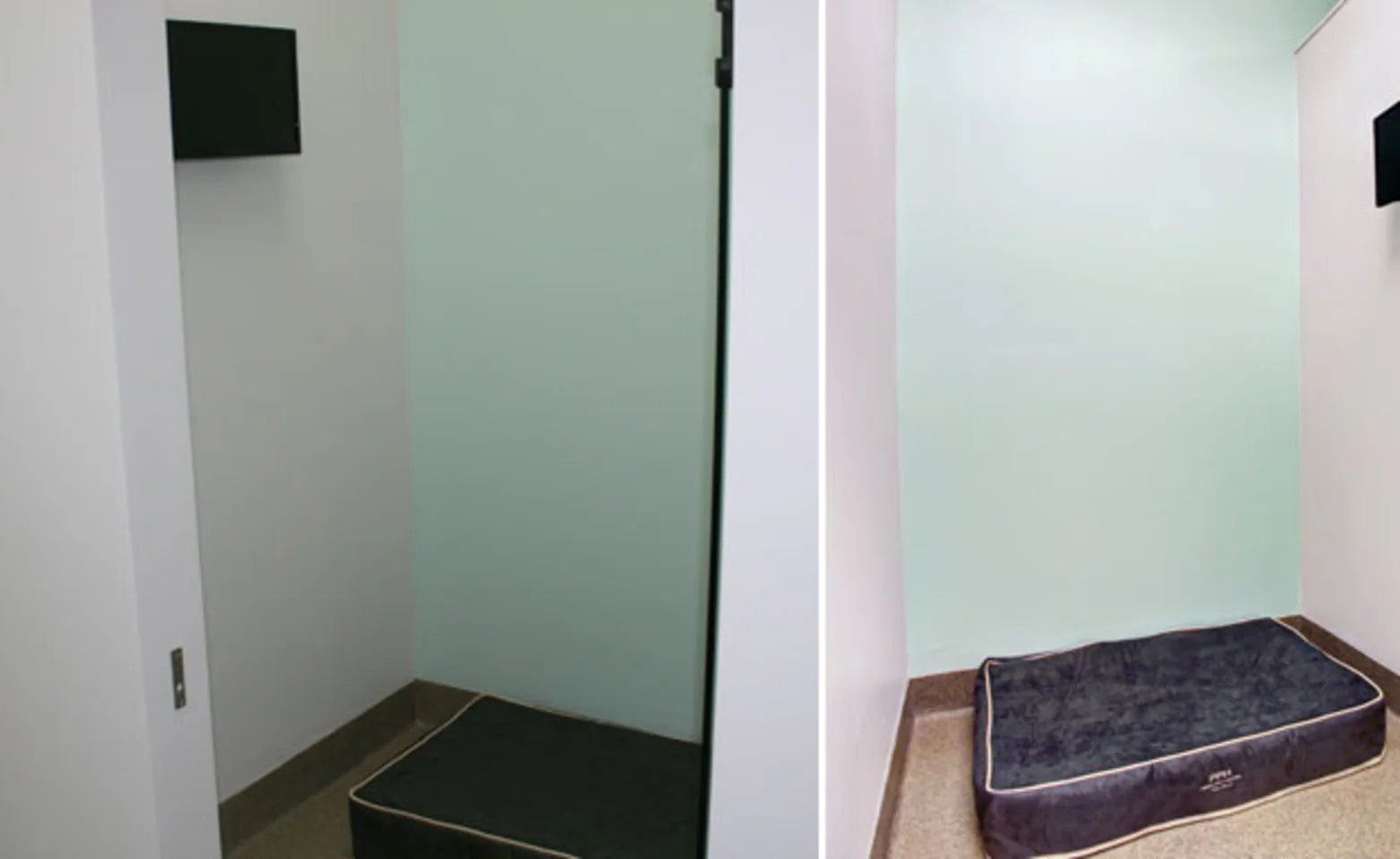 Posh Pet Hotel big room for dog with a flat TV and a big mirror Posh Pet Hotel big room for dog with a flat TV and a big mirror
