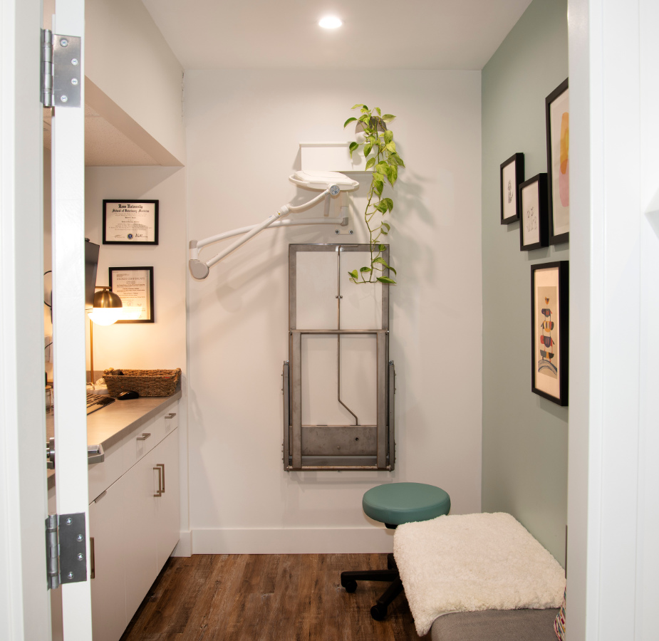 Viewing room with bench and stool