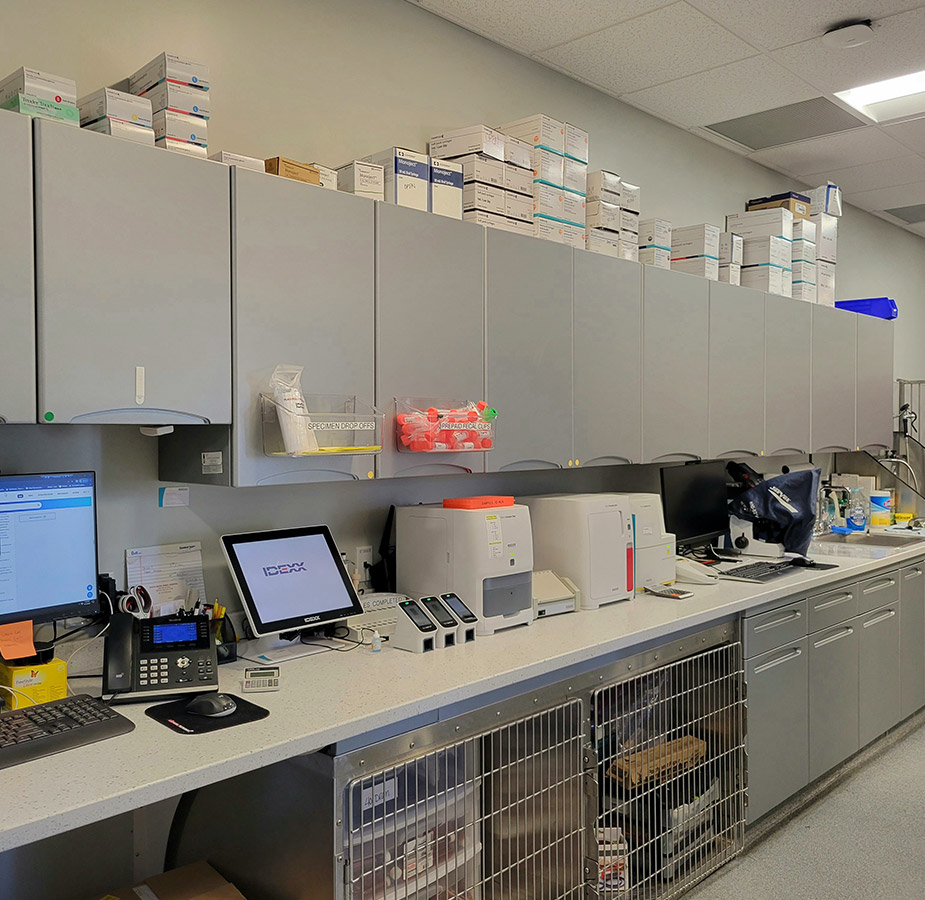 Treatment Area at South Shore Animal Hospital