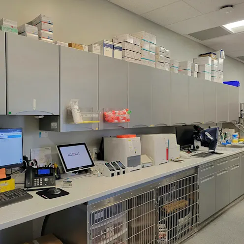 Treatment Area at South Shore Animal Hospital Treatment Area at South Shore Animal Hospital