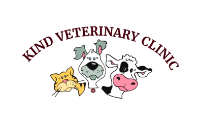 Kind Veterinary Clinic-HeaderLogo