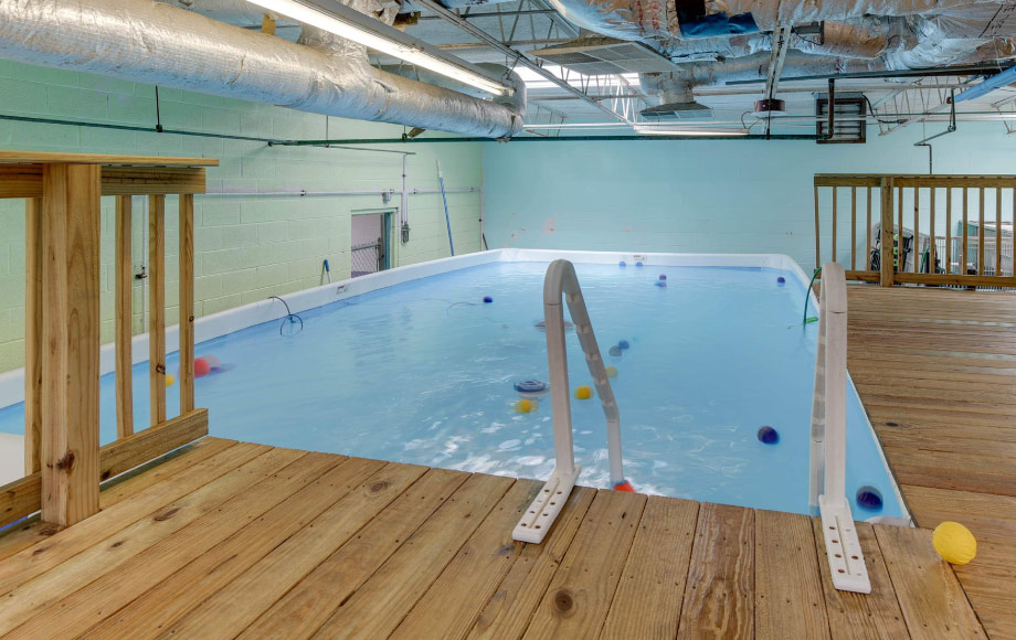 Owl Creek Veterinary Hospital's indoor dog park swimming pool area.  
