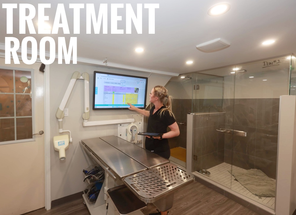 Treatment Room 