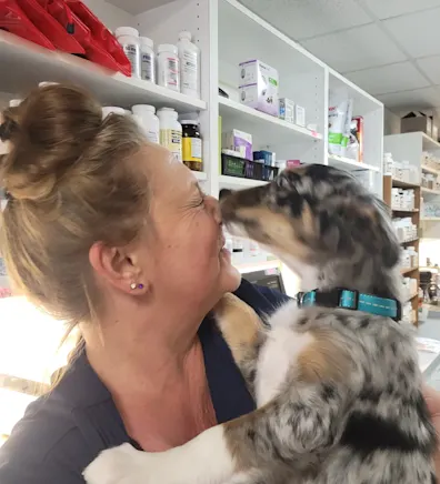 Lenoir Veterinary Hospital Lynae Lenoir Veterinary Hospital Lynae